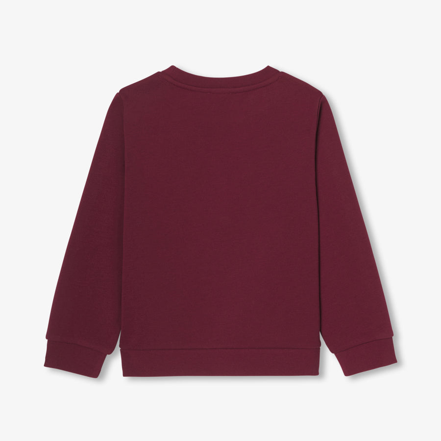 Sweatshirt majica od flisa za dječake