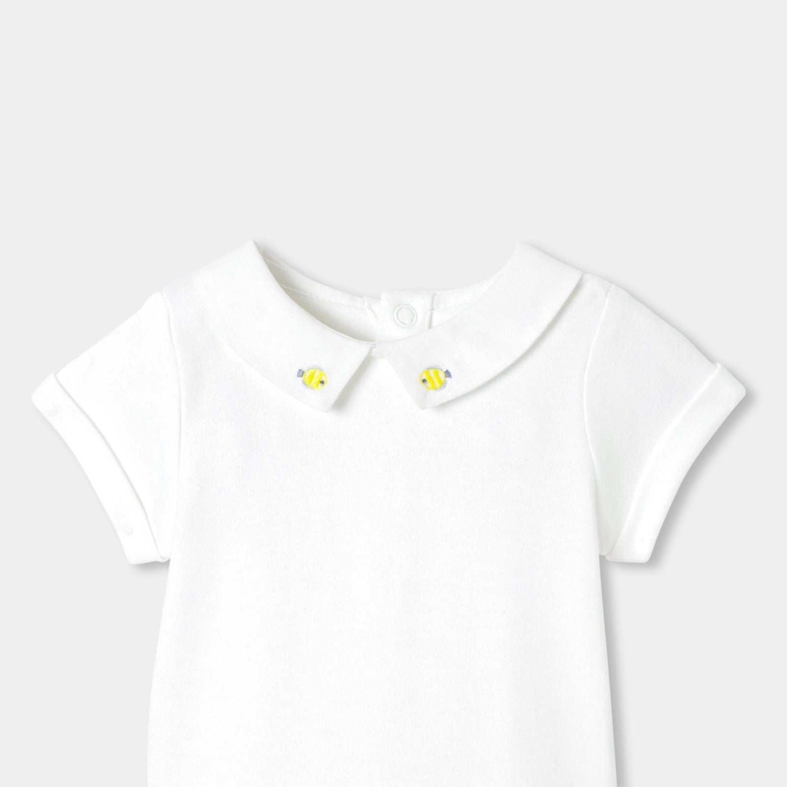 2045957_701_JSV_02.jpg