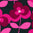 2046606_950_JC.jpg