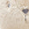 2046986_275_JC.jpg