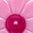 2047148_895_JC.jpg